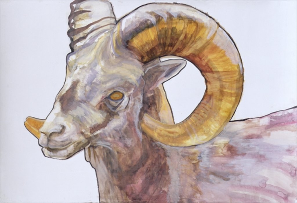 Detail of American Long Horn, 2004 by Lou Gibbs