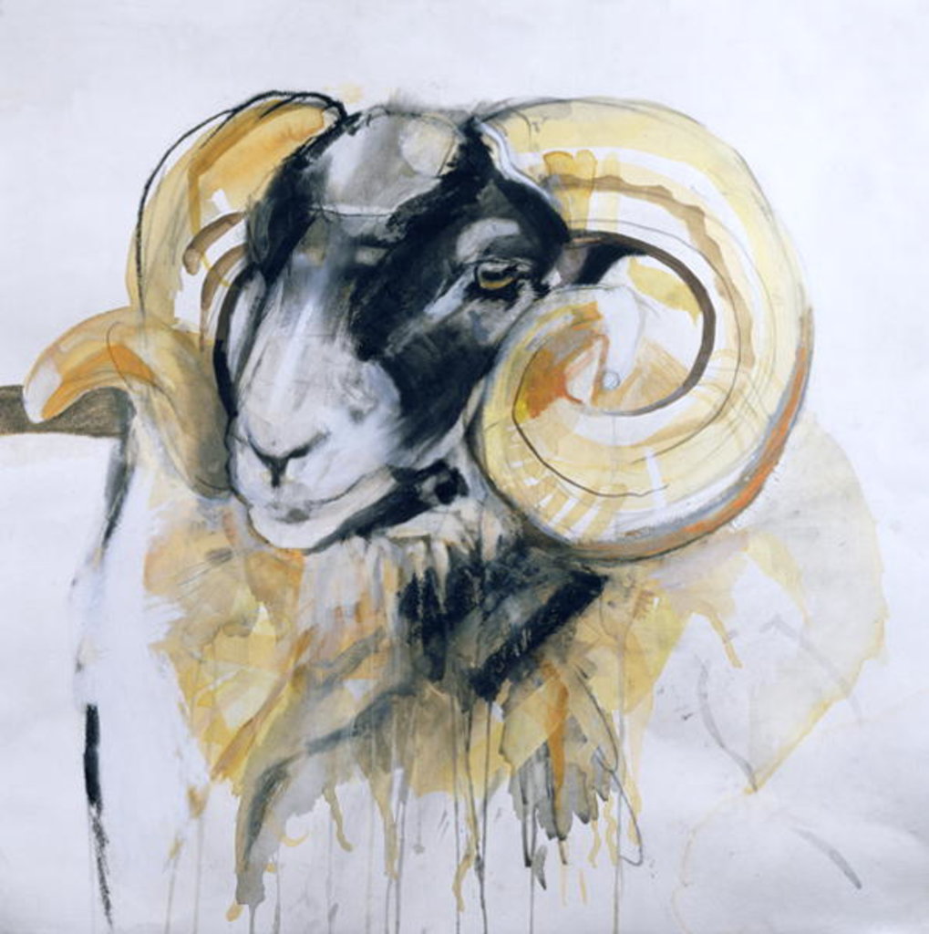 Detail of Long Horn Sheep by Lou Gibbs
