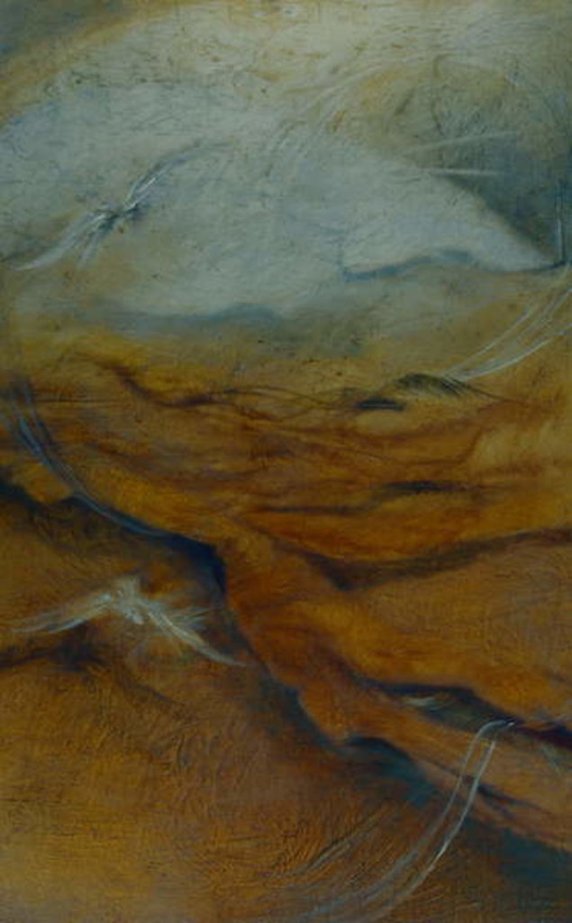 Detail of Substratum, 1996 Bird on textured surface by Lee Campbell