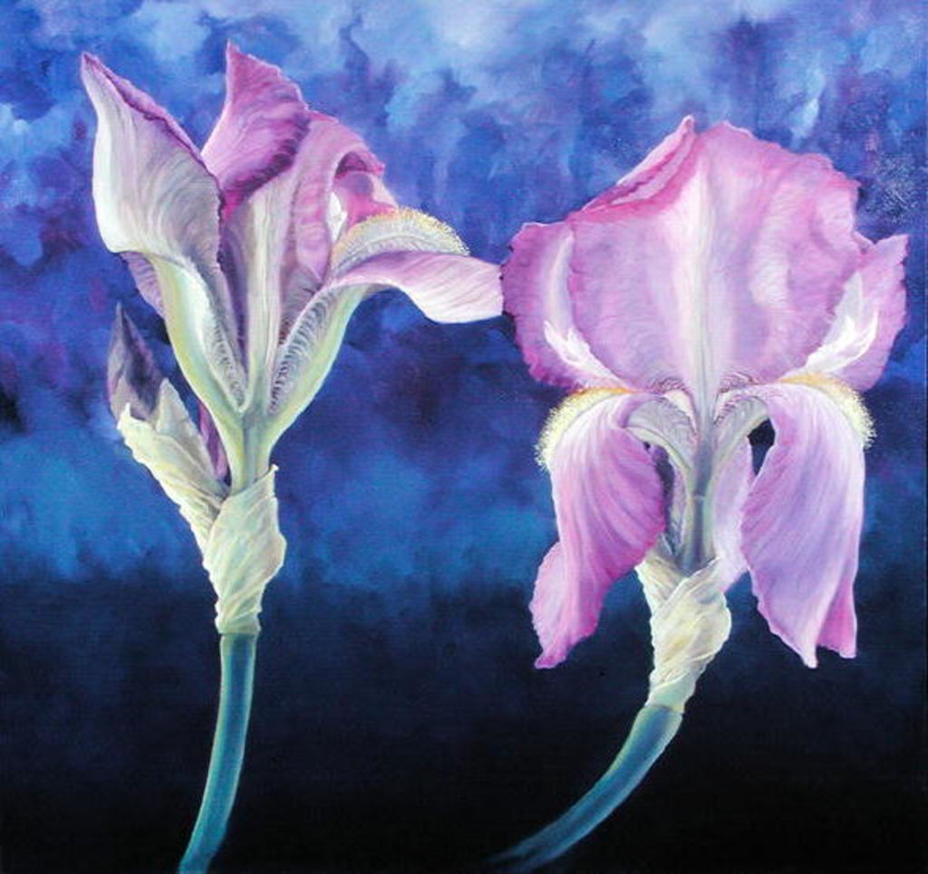 Detail of Seduction, 2004 Irises by Lee Campbell