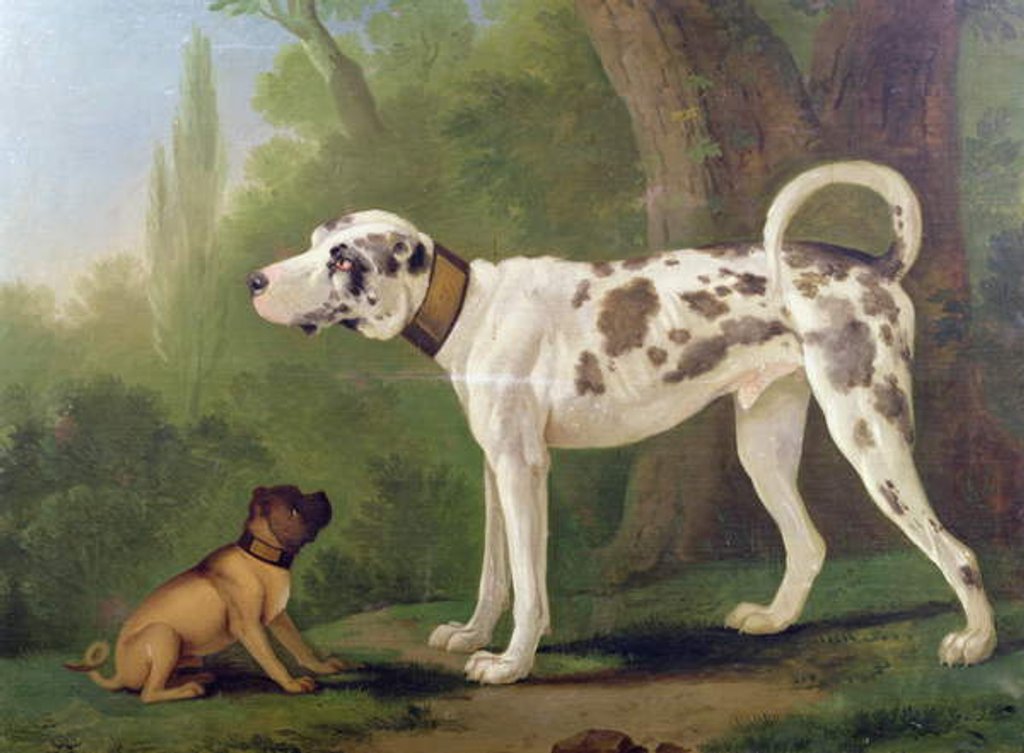 Detail of Hound and Terrier by School German