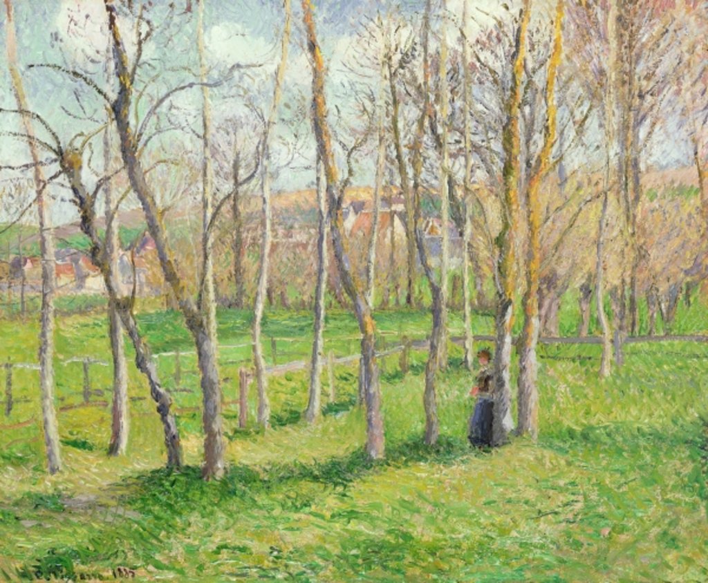 Detail of Meadow at Bazincourt, 1885 by Camille Pissarro
