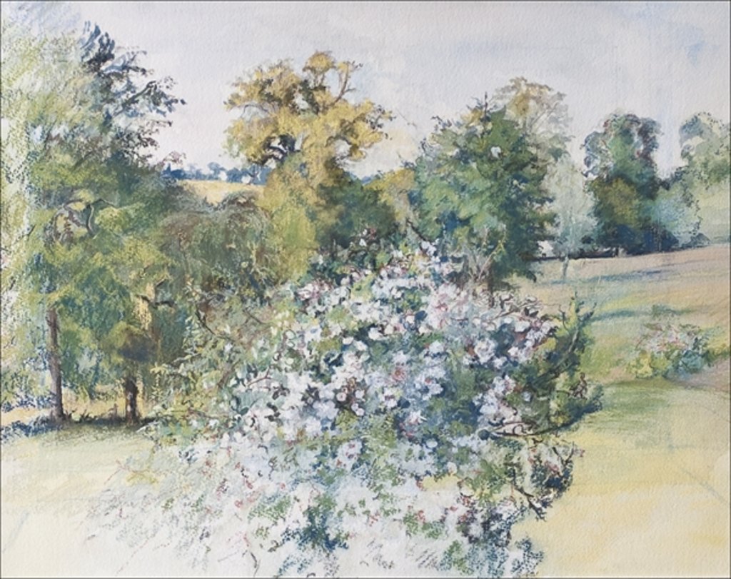 Detail of June from Our Window, 2007 by Caroline Hervey-Bathurst