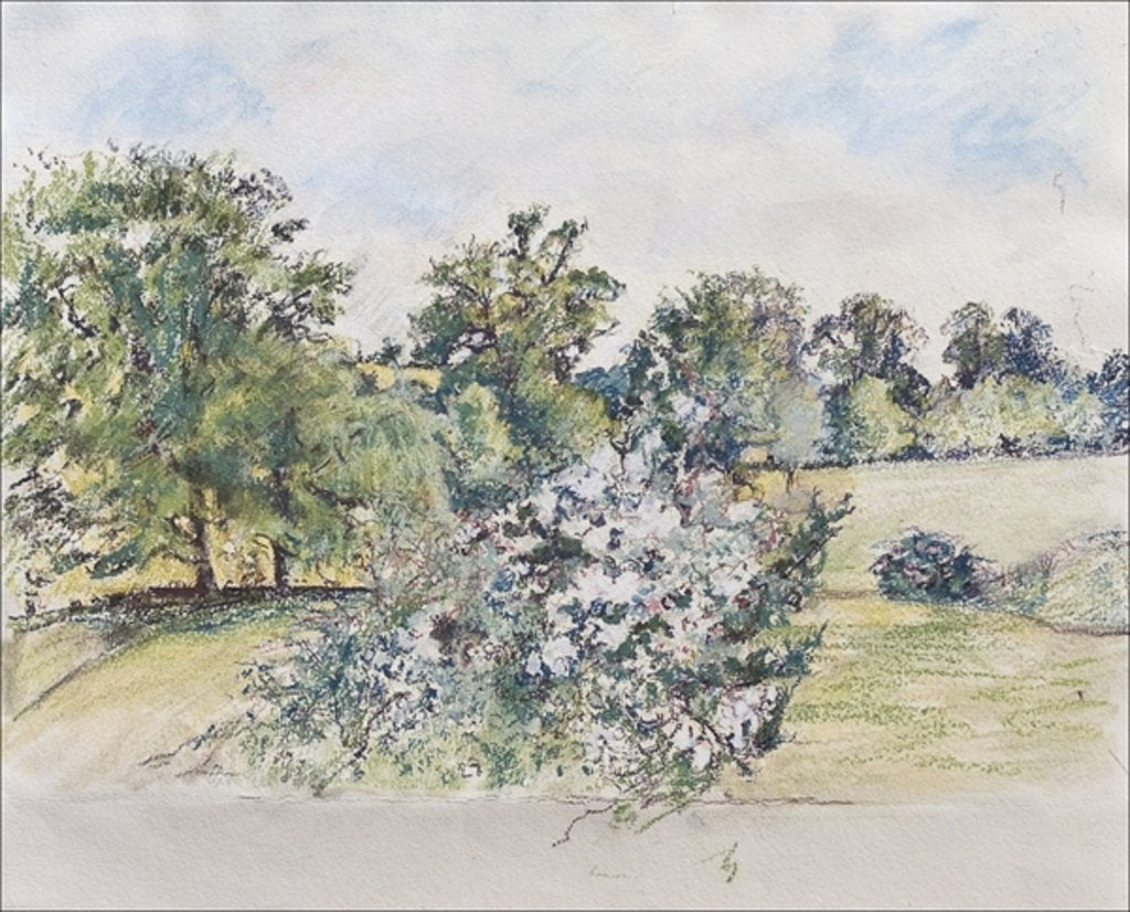 Detail of August from Our Window, 2007 by Caroline Hervey-Bathurst