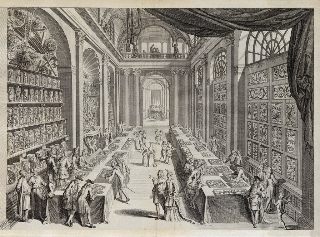 Detail of Levinus Vincent Collection from 'Theatre des merveilles de la nature' by J. V. Viane