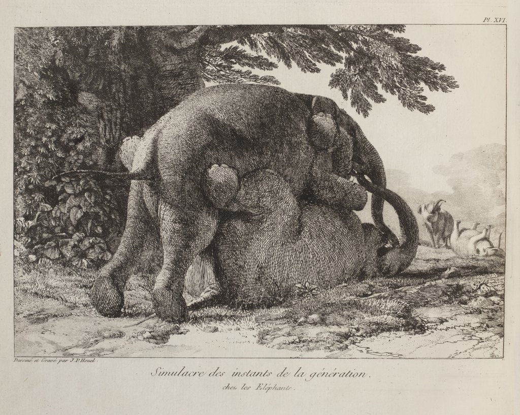 Detail of Elephants ('Simulacre des instants de la generation des elephants'), Hans and Parkie by J. P. L. L. Houel