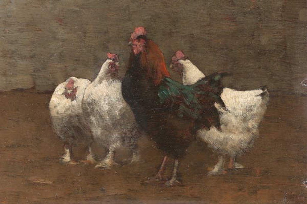 Detail of Fowls, 1896 by Horace Mann Livens