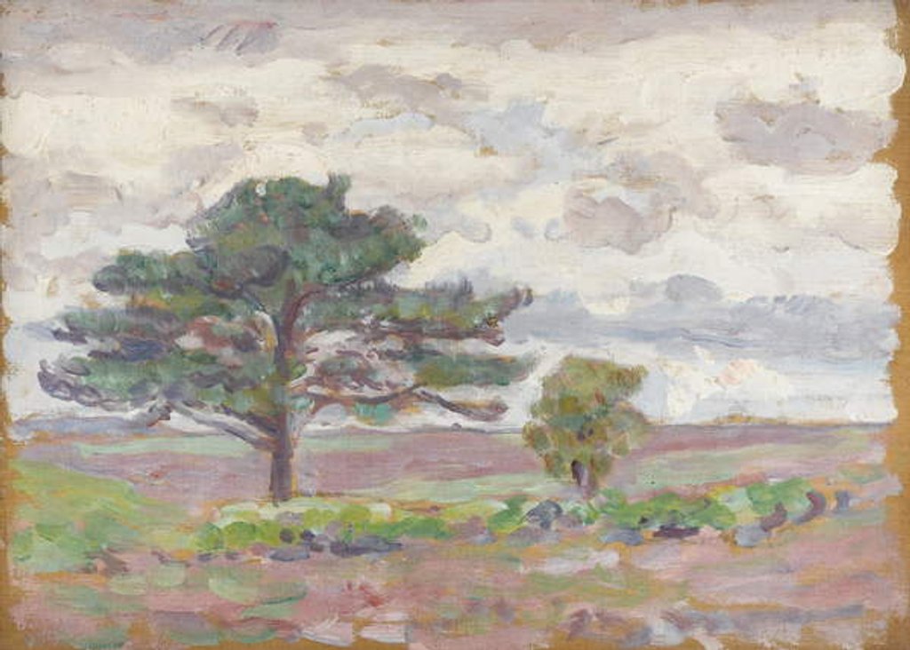 Detail of Beech Tree by Arthur Haythorne Studd