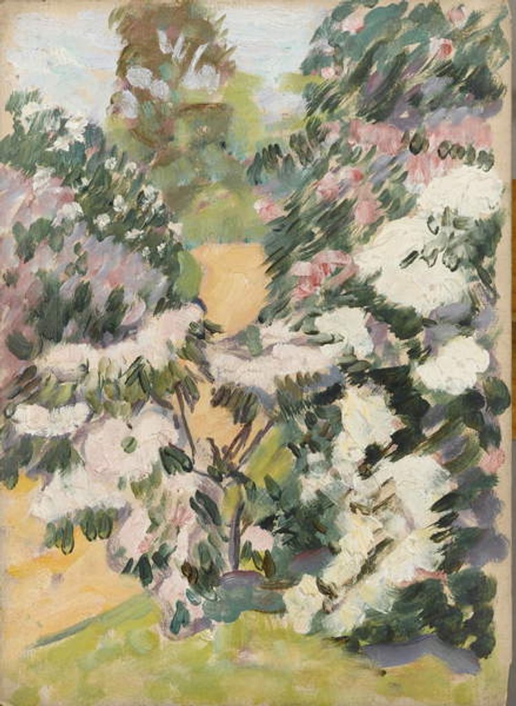 Detail of Blossom, c.1900 by Arthur Haythorne Studd