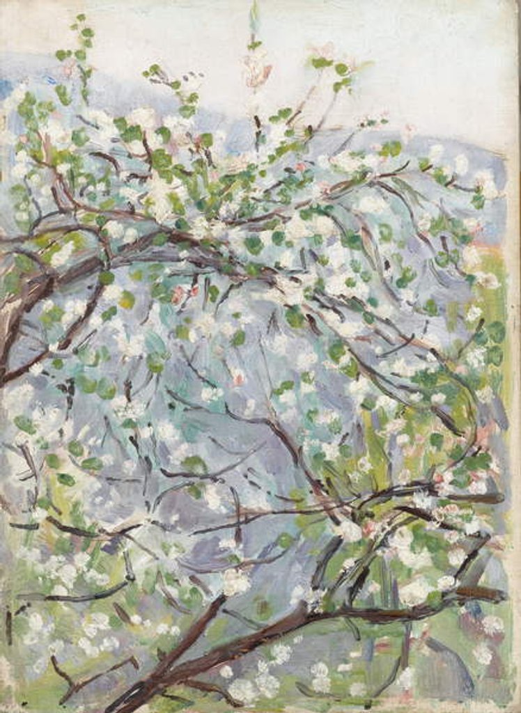 Detail of Blossom, c.1900 by Arthur Haythorne Studd