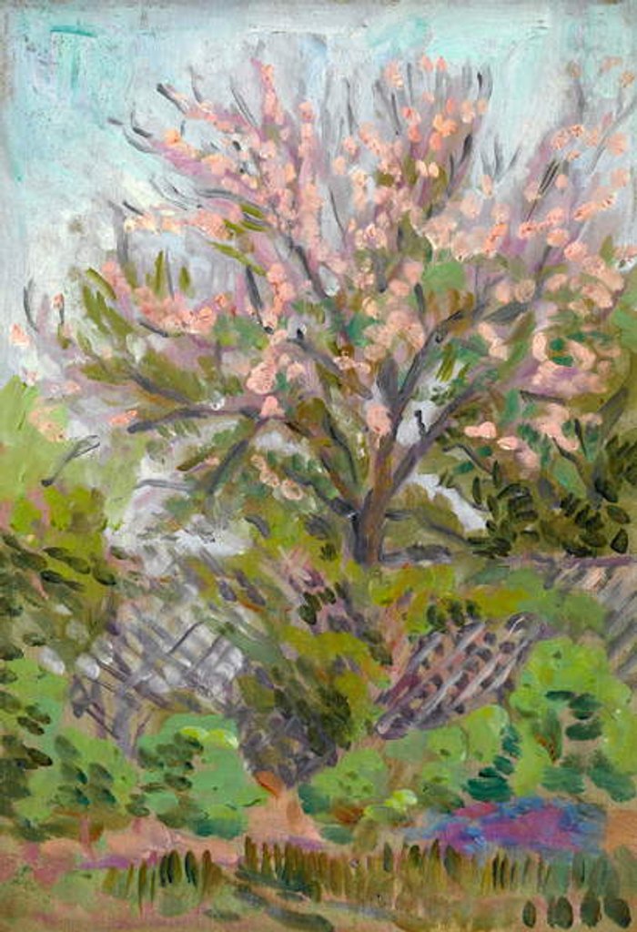 Detail of Cherry blossom with trellis fence below by Arthur Haythorne Studd