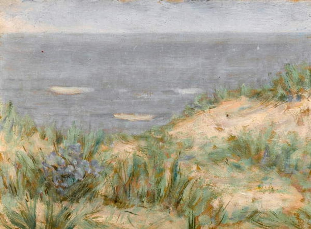 Detail of Seaview with Dunes, flowering seagrass, c.1900 by Arthur Haythorne Studd