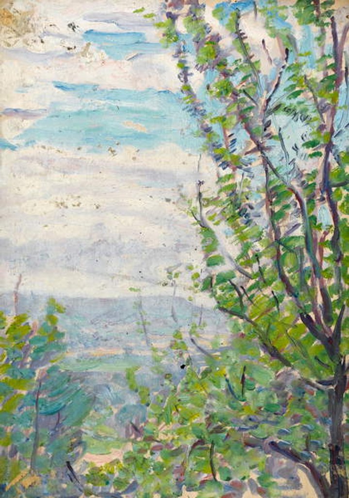 Detail of Blue sky and clouds with branches of fruit trees to the fore by Arthur Haythorne Studd