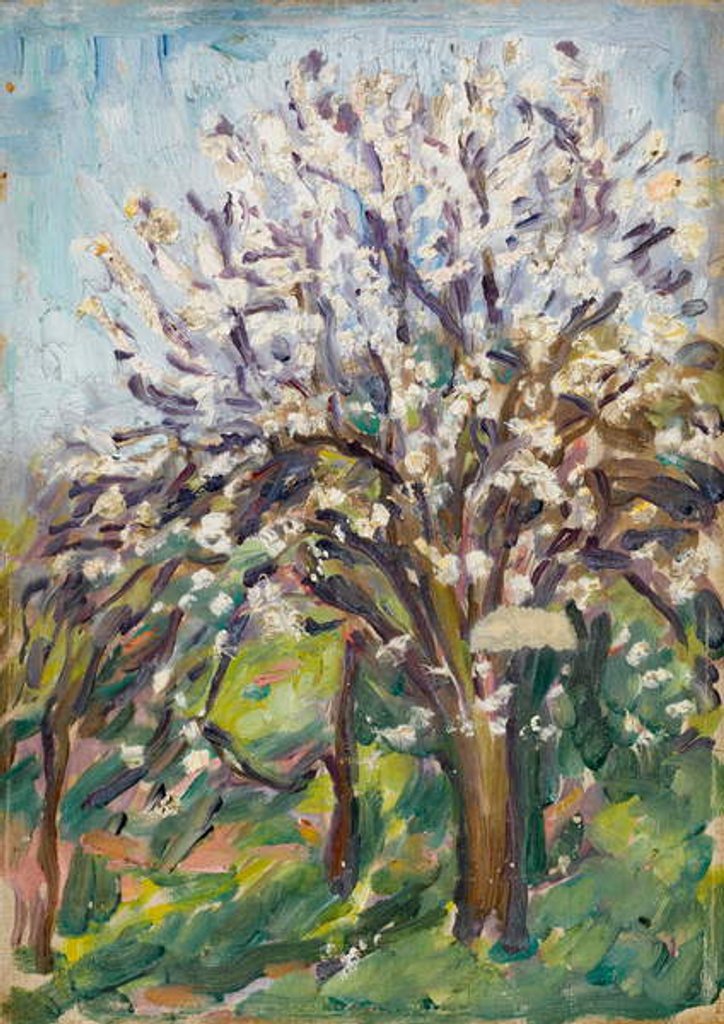 Detail of Almond Blossom on a sloping verge, c.1910 by Arthur Haythorne Studd