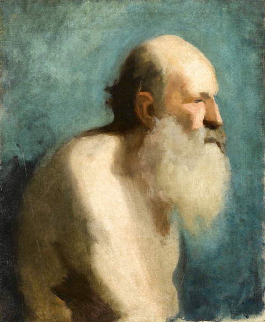 Detail of Profile study of an old man, c.1880 by Albert de Belleroche