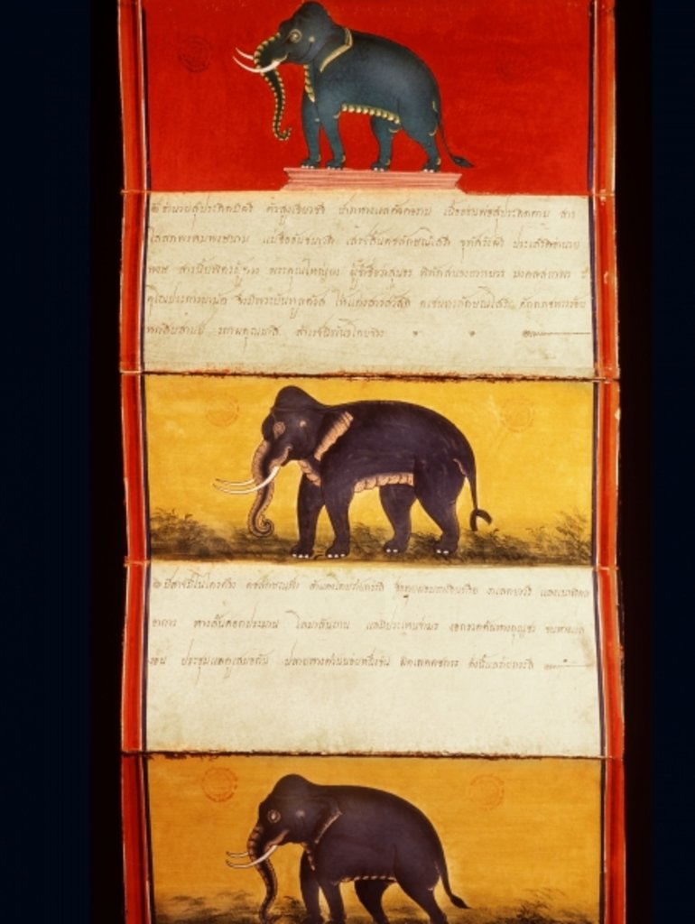 Detail of Folio from a manuscript on elephant training by School Thai