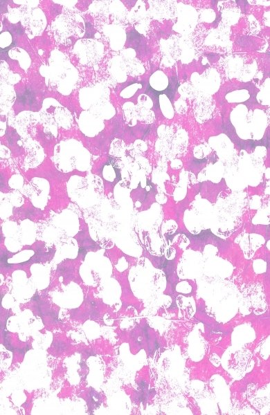 Detail of Animal by Louisa Hereford