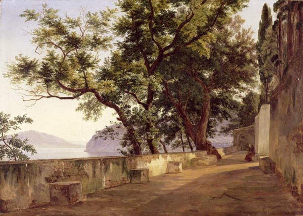 Detail of Garden of the Capuchin Friars, near Sorrento, 1827 by Carl Wilhelm Goetzloff