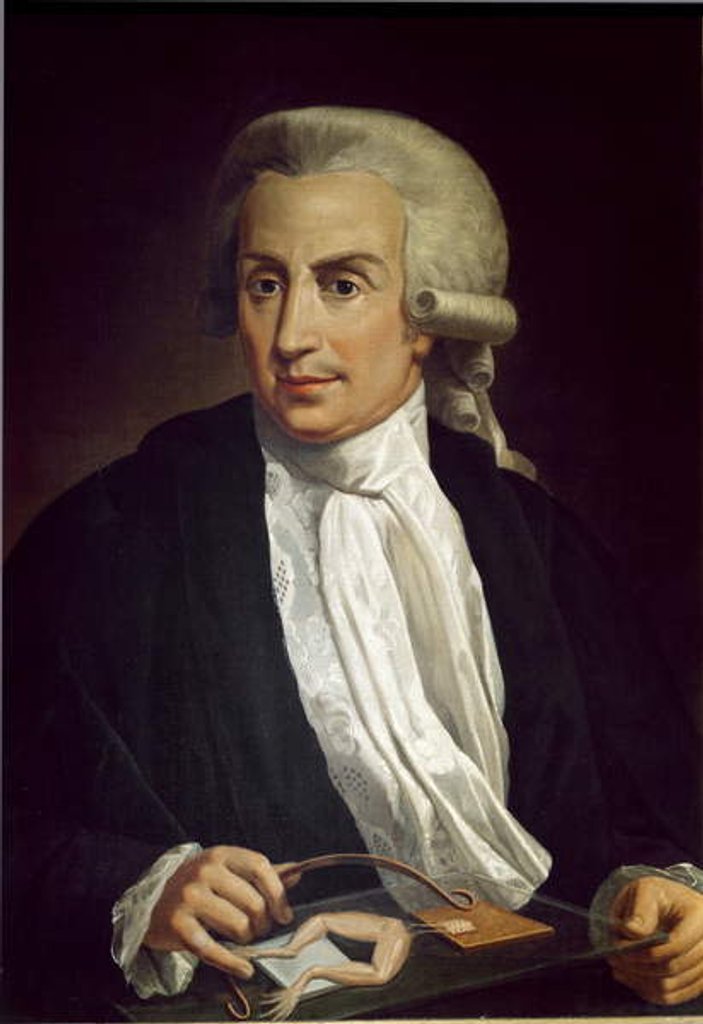 Detail of Luigi Galvani with frog specimen by Italian School