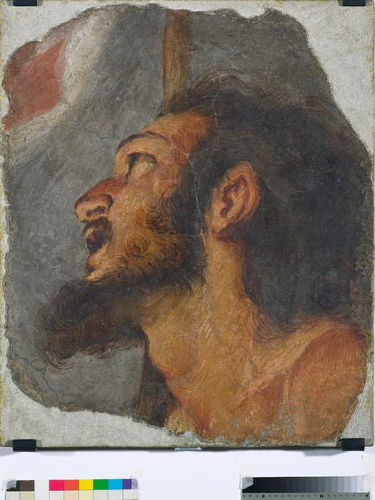Detail of Head of St. John the Baptist Fragment of detached fresco, 1622 by Bernardo Strozzi