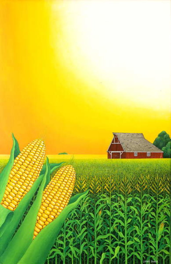 Detail of Nebraska Cornfield, 1993 by Larry Smart