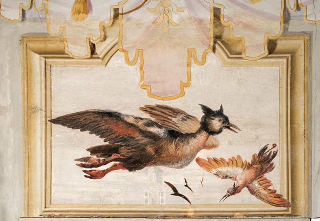 Detail of A Pair of Exotic Birds by Giandomenico (1727-1804) Tiepolo