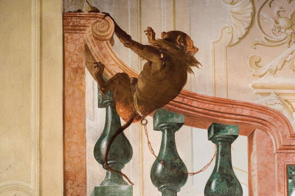 Detail of Detail of Monkey by Giandomenico Tiepolo