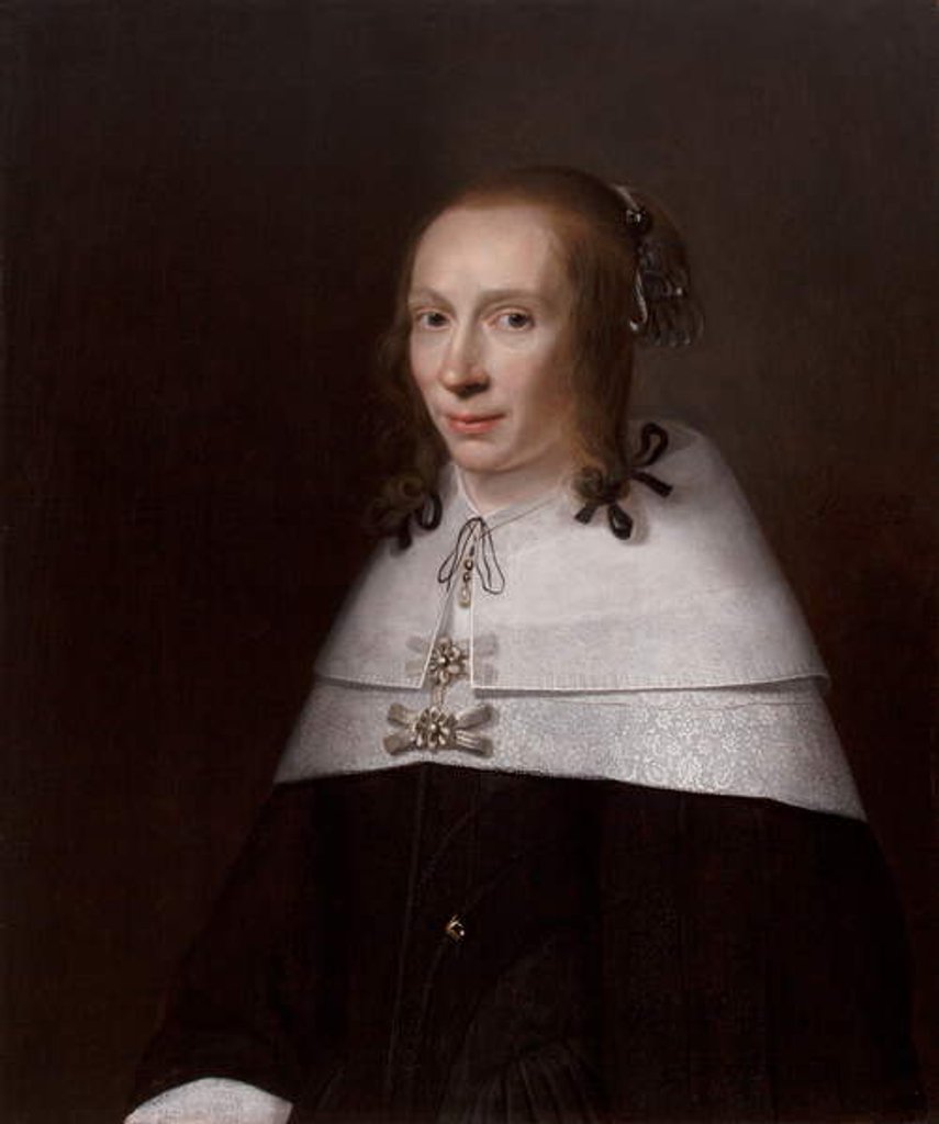 Detail of Portrait of a Young Woman, 1654 by Jacob Willemsz Delff