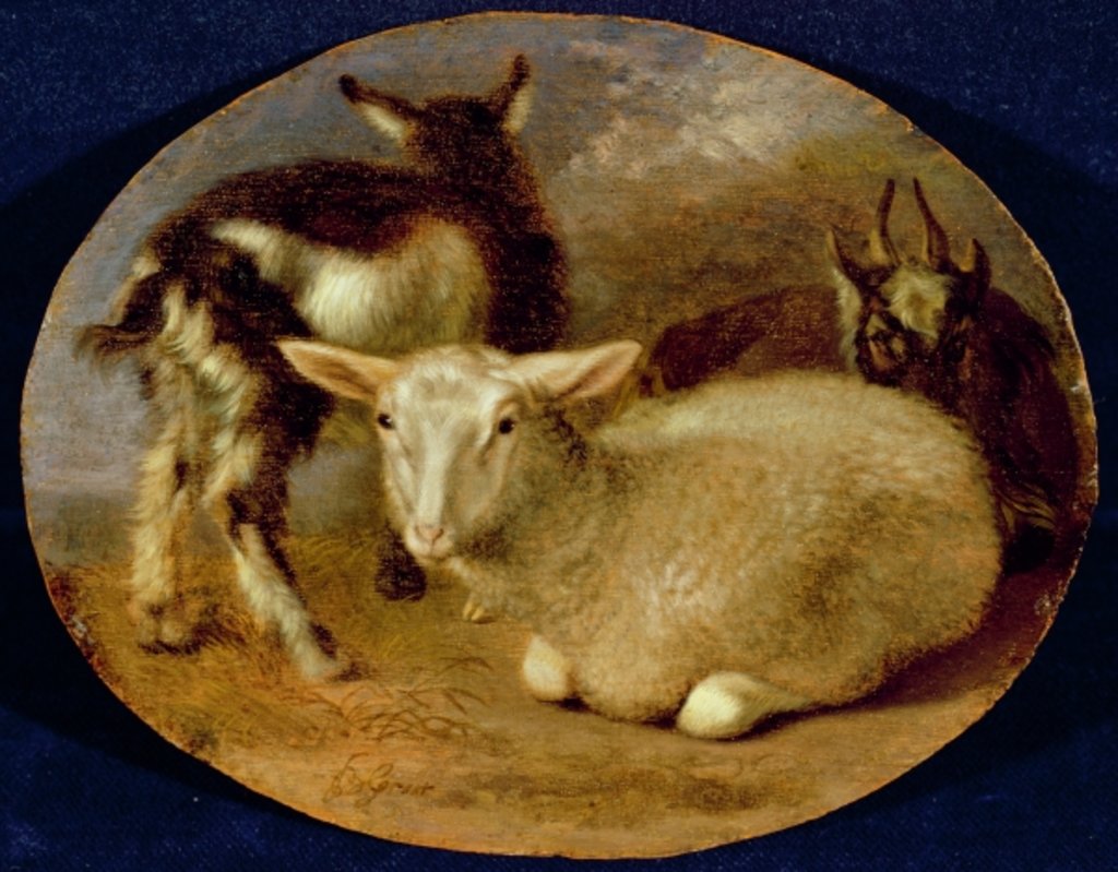 Detail of A Baby Lamb with a Kid and a Goat by Barent Graat