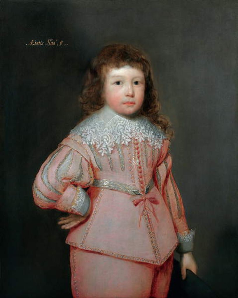 Detail of Portrait of a young boy thought to be Lucius Cary, 3rd Viscount Falkland, c.1637 by Cornelius Janssen van Ceulen
