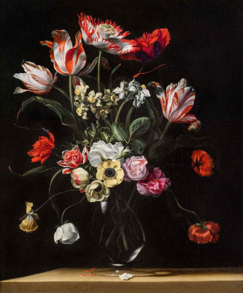 Detail of Tulips, Daffodils, Carnations, Poppies, Anemones, and Other Flowers in a Glass Vase on a Wooden Ledge, one of a pair, 17th century by Jean Picart
