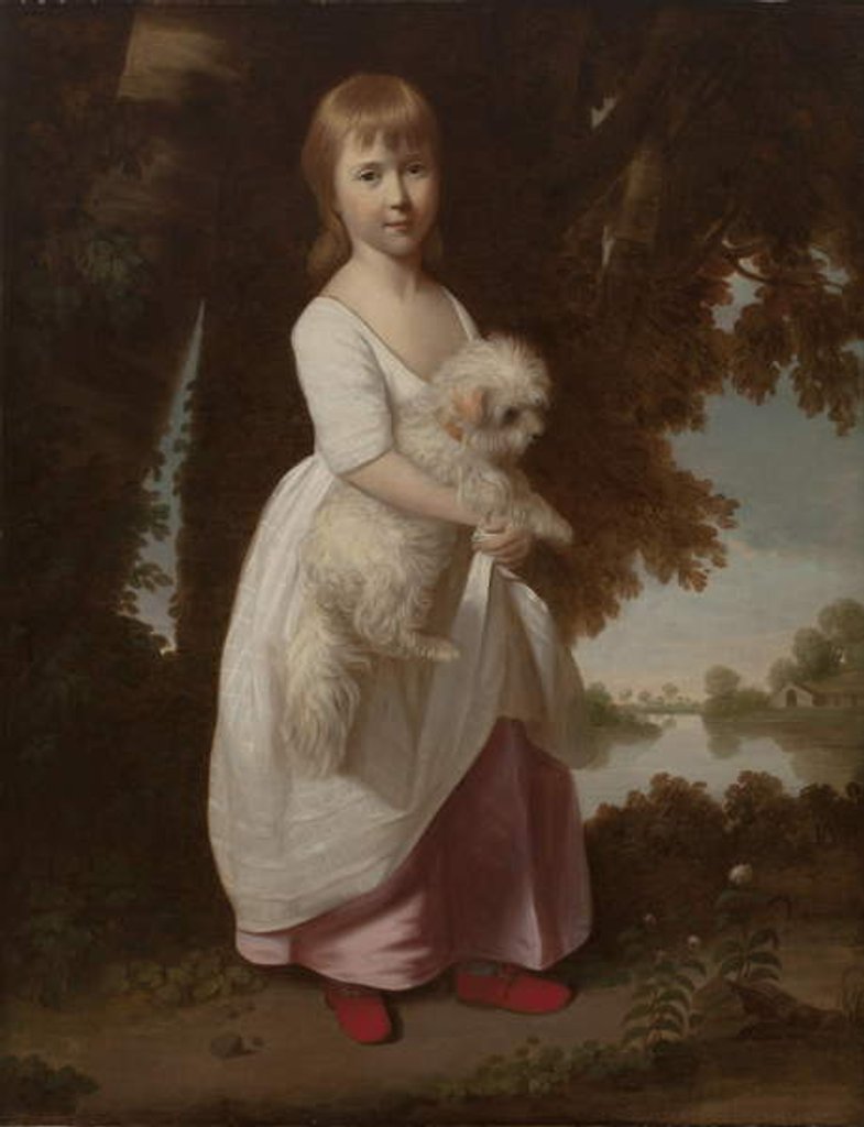 Detail of Portrait of a Girl Holding a Maltese Spaniel by British School