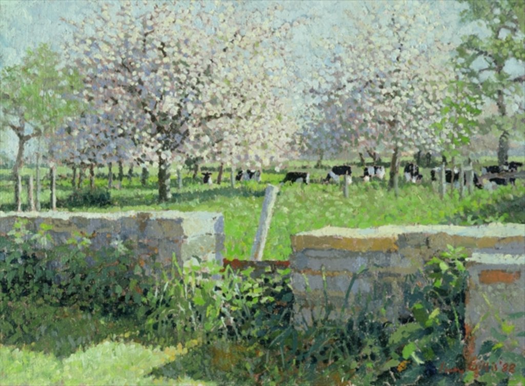 Detail of Cows in the Orchard, 1988 by Lucy Willis