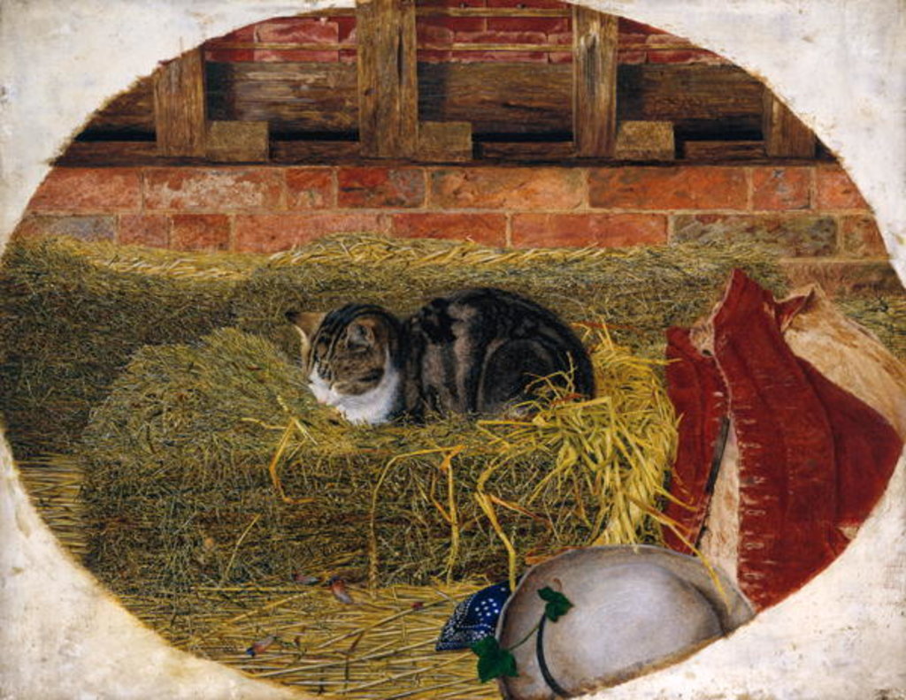 Detail of Catnap, 1858 by Rosa Brett