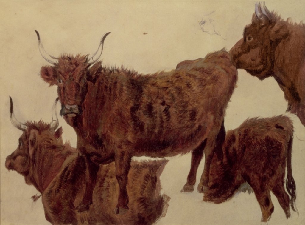 Detail of Studies of Highland Cattle by Richard Ansdell