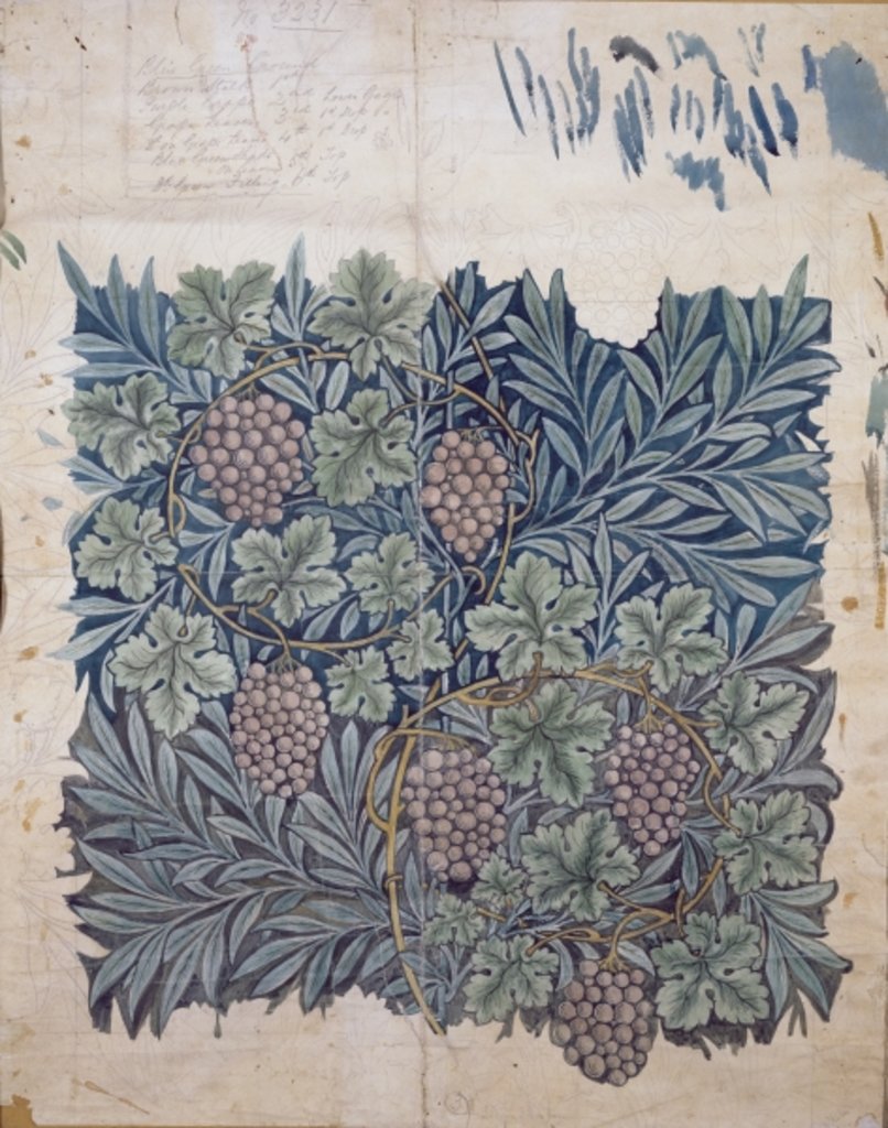 Detail of Leaf and Grape design for 'Vine' wallpaper by William Morris