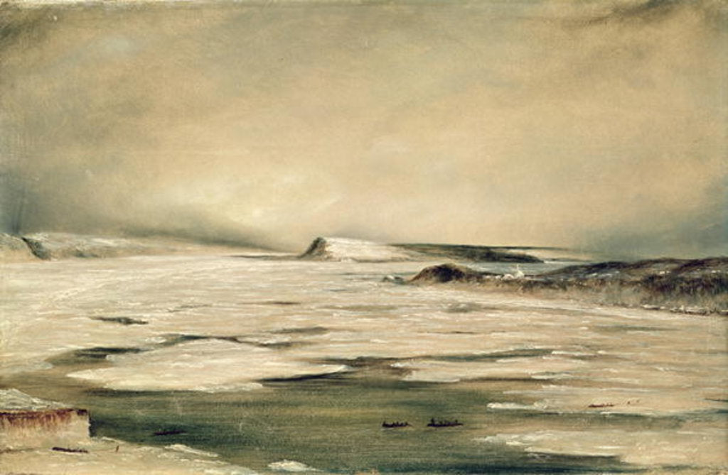 Detail of The Saint Lawrence from Quebec, 1847 by Canadian School