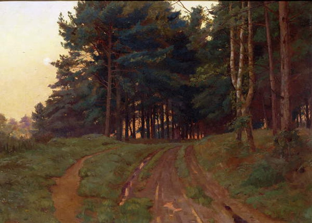 Detail of Silence Claimed Her Evening Reign, 1888 by Ernest Arthur Rowe