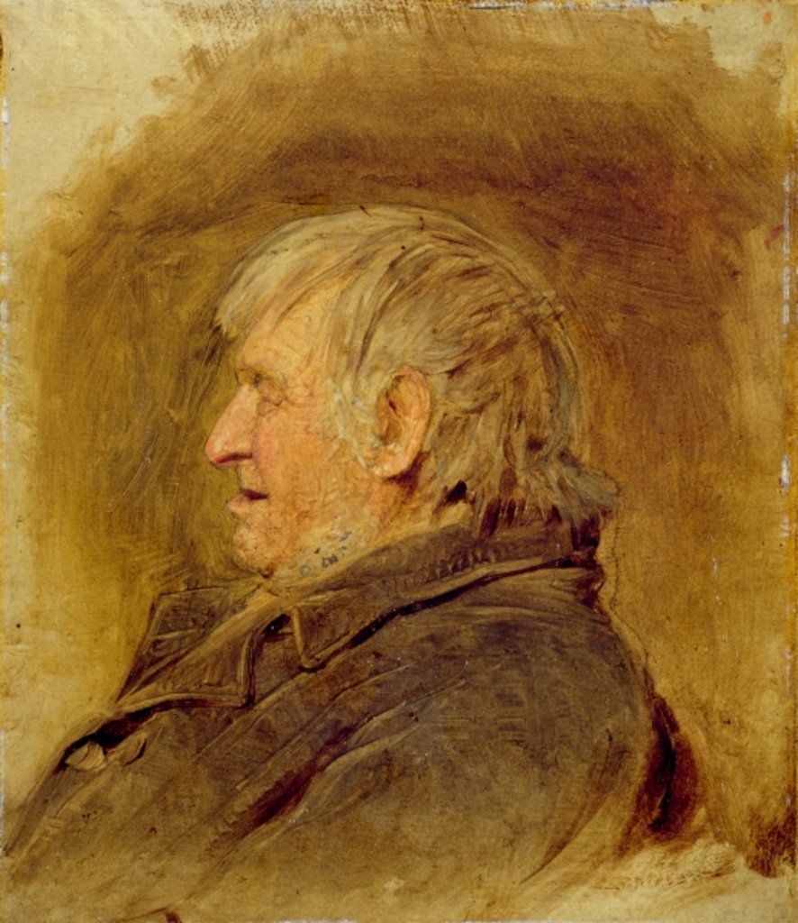 Detail of Profile Study of an Elderly Man, 1884 by John Faed