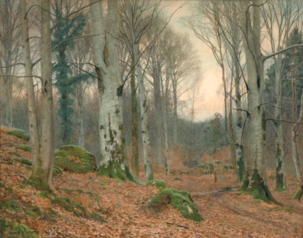 Detail of A Welsh Wood in Winter by James Thomas Watts