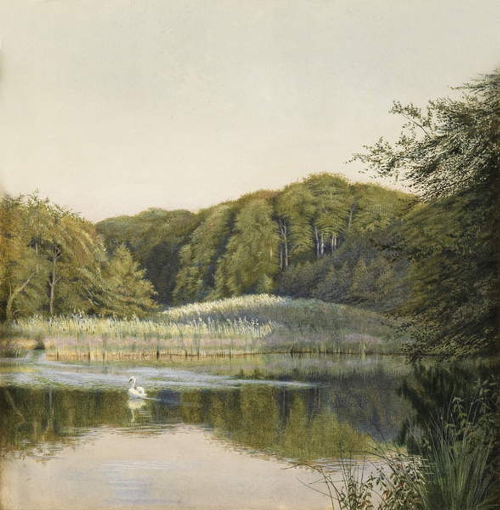 Detail of Swans on Paddington Pond, 1860s by Constance Phillott