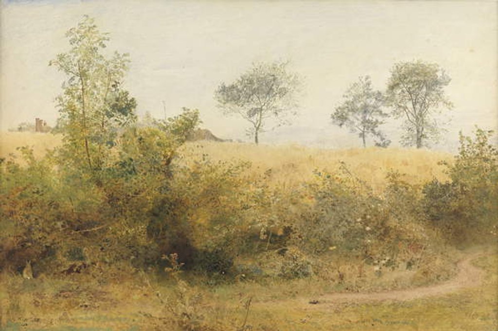 Detail of The Bat Begins with Giddy Wing - Barley Field Over the Hedge, 1885 by John William North