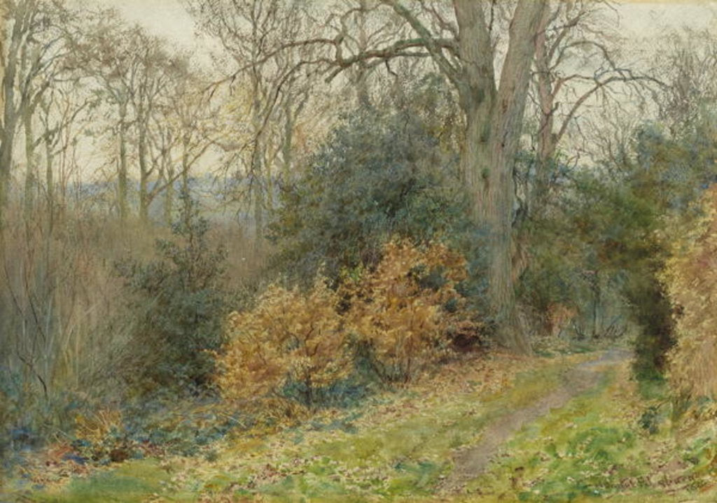 Detail of Path Through the Wood, 1902 by Wilmot R.W.S. Pilsbury