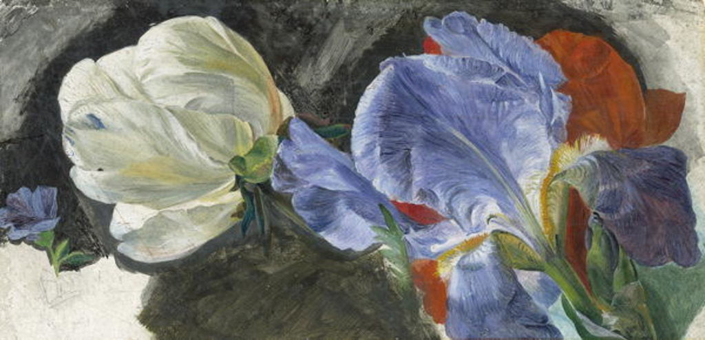Detail of A Study of Flowers by Emily Stannard