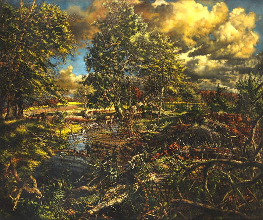 Detail of Nailbourne Spring Stream, Bourne Park by Kenneth Newton