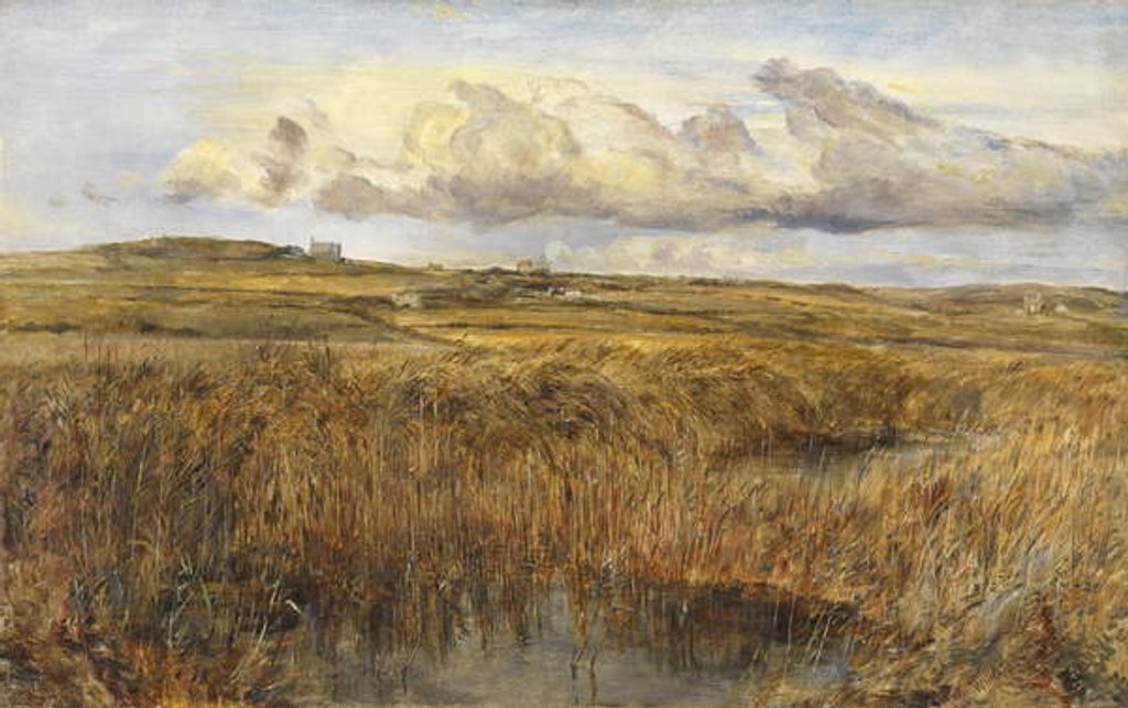 Detail of Rhoscolyn, Anglesey by William Joseph J.C. Bond