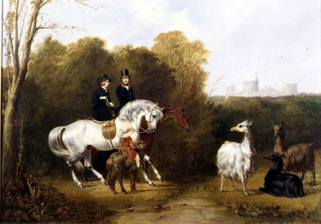 Detail of Queen Victoria and Prince Albert Viewing the Llamas in the House Park, Windsor, c.1845 by Gourlay Steel
