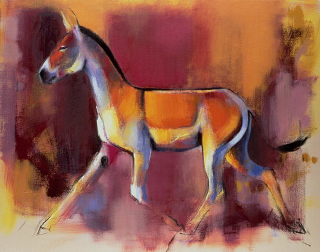 Detail of Wild Ass, Rann of Kutch, 1996 by Mark Adlington