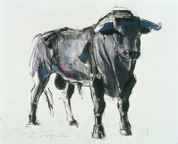 Detail of Plaza de Toros de Miajadas, 1998 by Mark Adlington