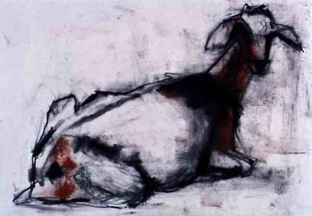 Detail of Seated Goat, 1998 by Mark Adlington